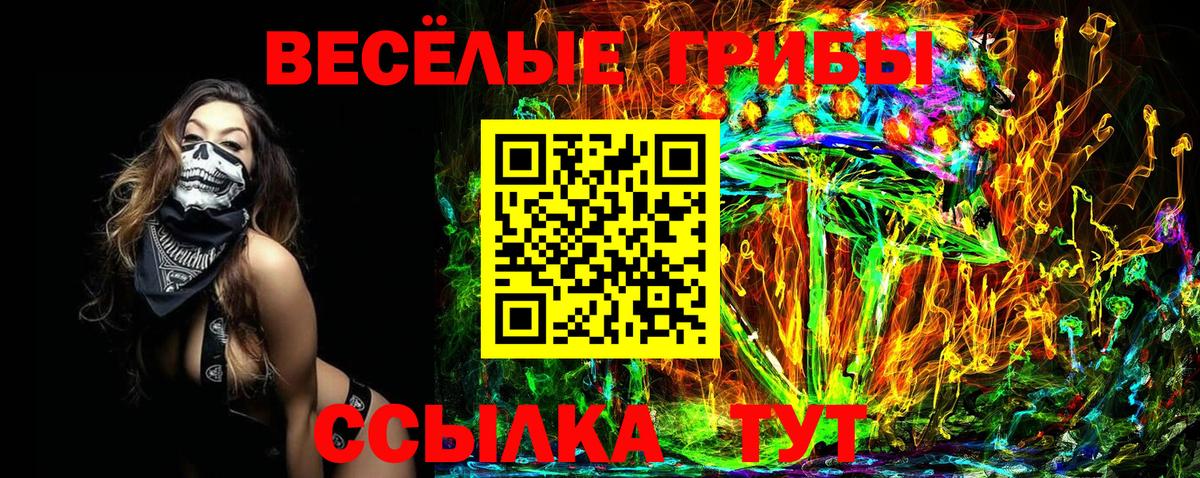 Галлюциногенные грибы GOLDEN TEACHER  Псилоцибиновые грибы MAGIC MUSHROOMS  Михайловск  Вход с VPN 